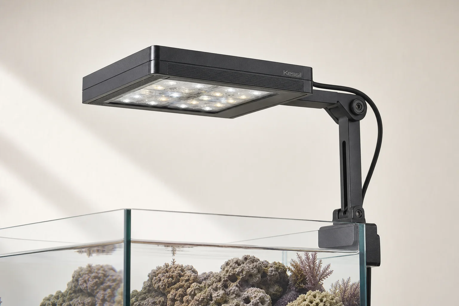 Reef aquarium with vibrant corals under blue and white LED spectrum lighting
