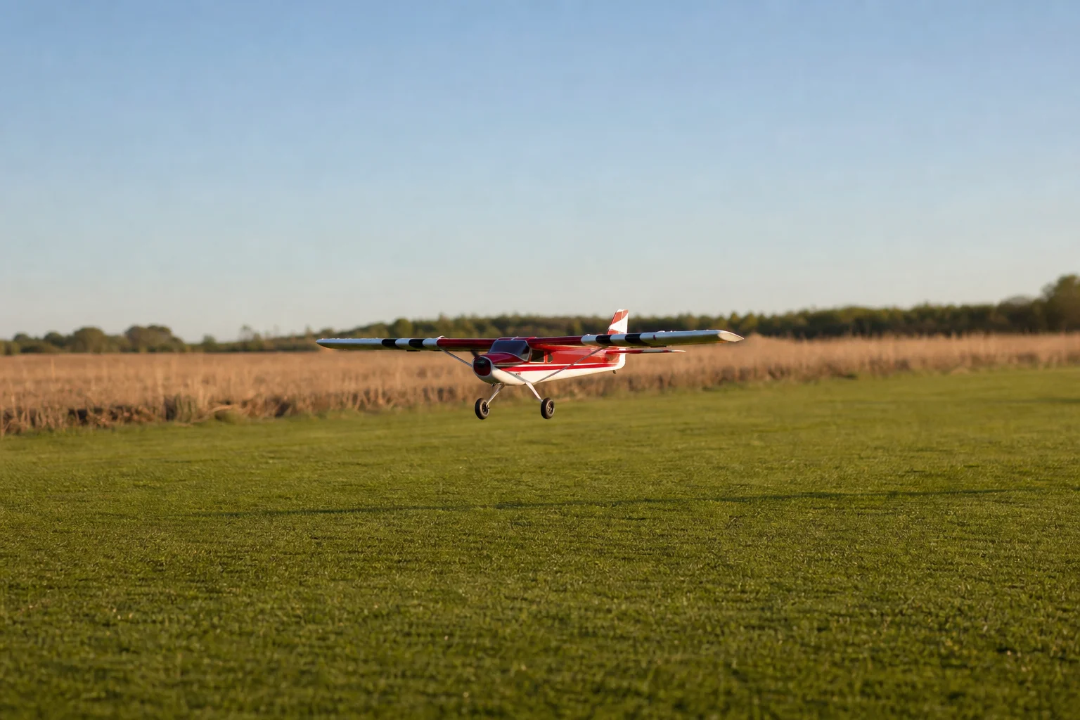 RC aircraft taking off from a grass runway in afternoon sunlight