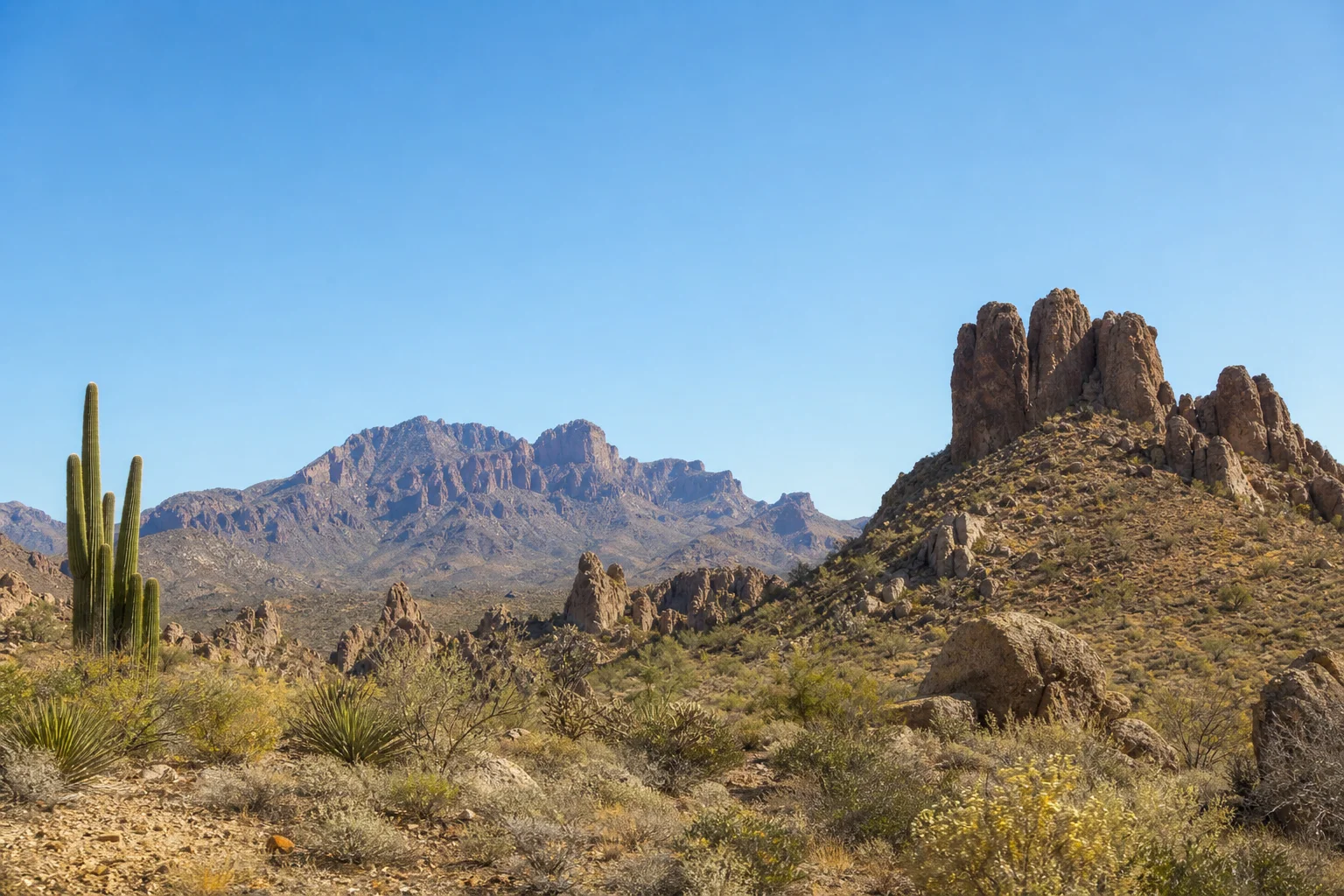 Desert landscape with rock formations and sparse vegetation