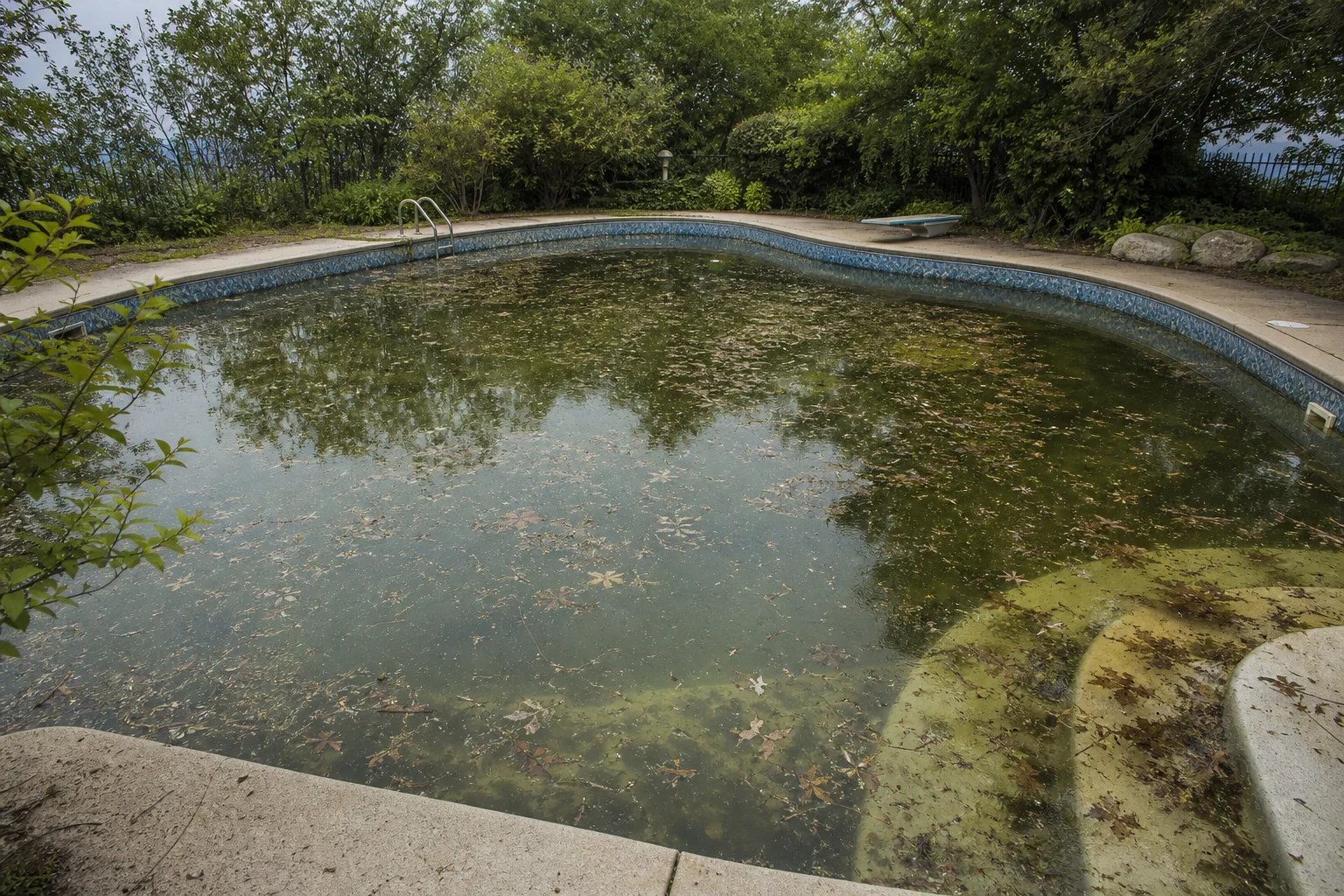 充滿落葉、沉積物與碎屑的混濁泳池水