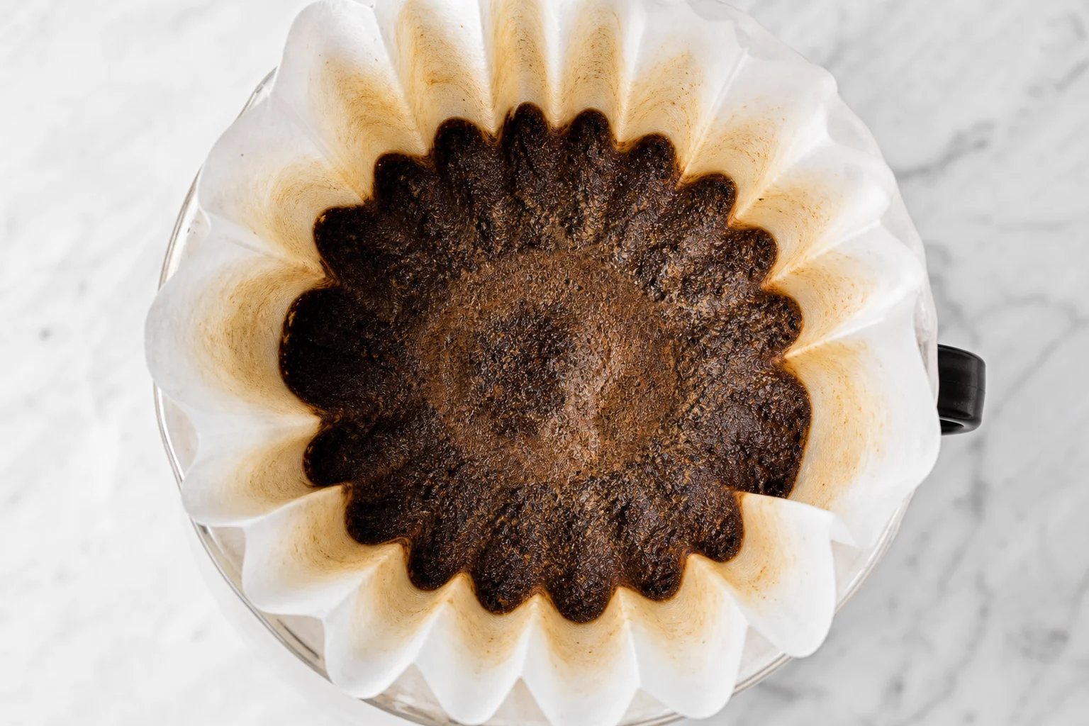 Coffee bed after brewing showing extraction and distribution patterns
