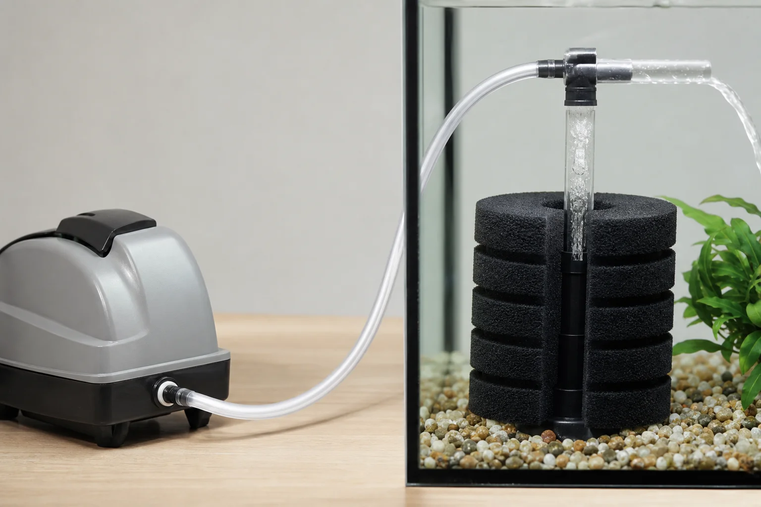 透過透明軟管連接到海綿過濾器的打氣機
