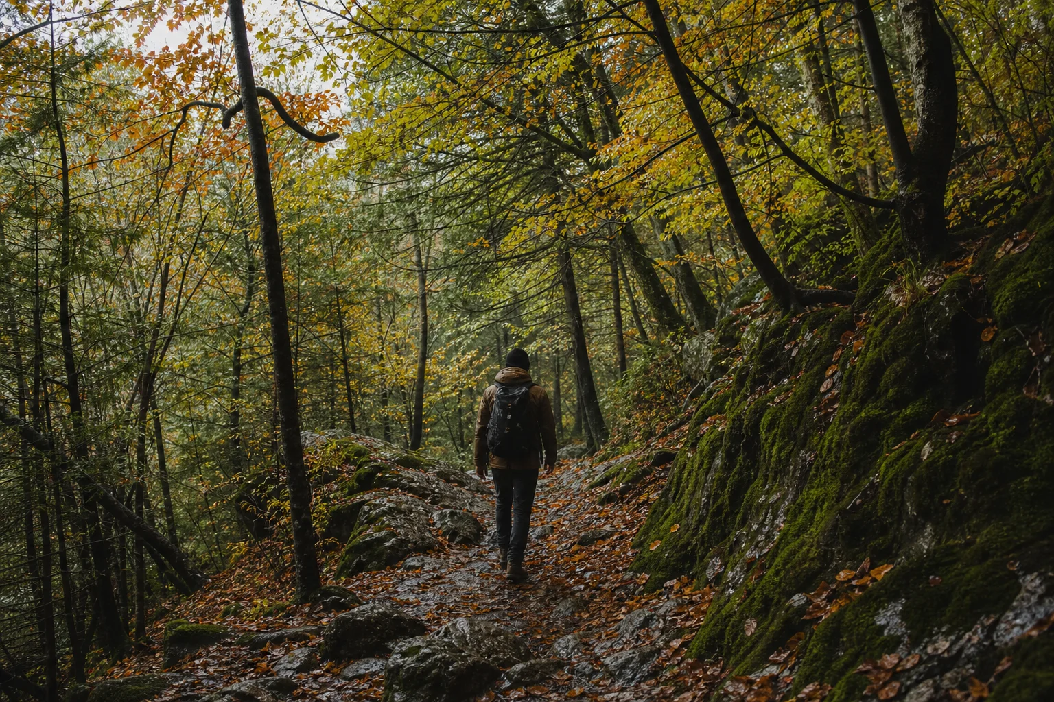 Hiker on wet forest trail with autumn foliage and moss