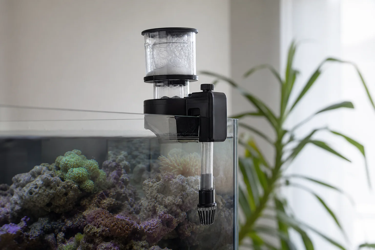 Hang-on protein skimmer mounted on aquarium rim with pump intake visible