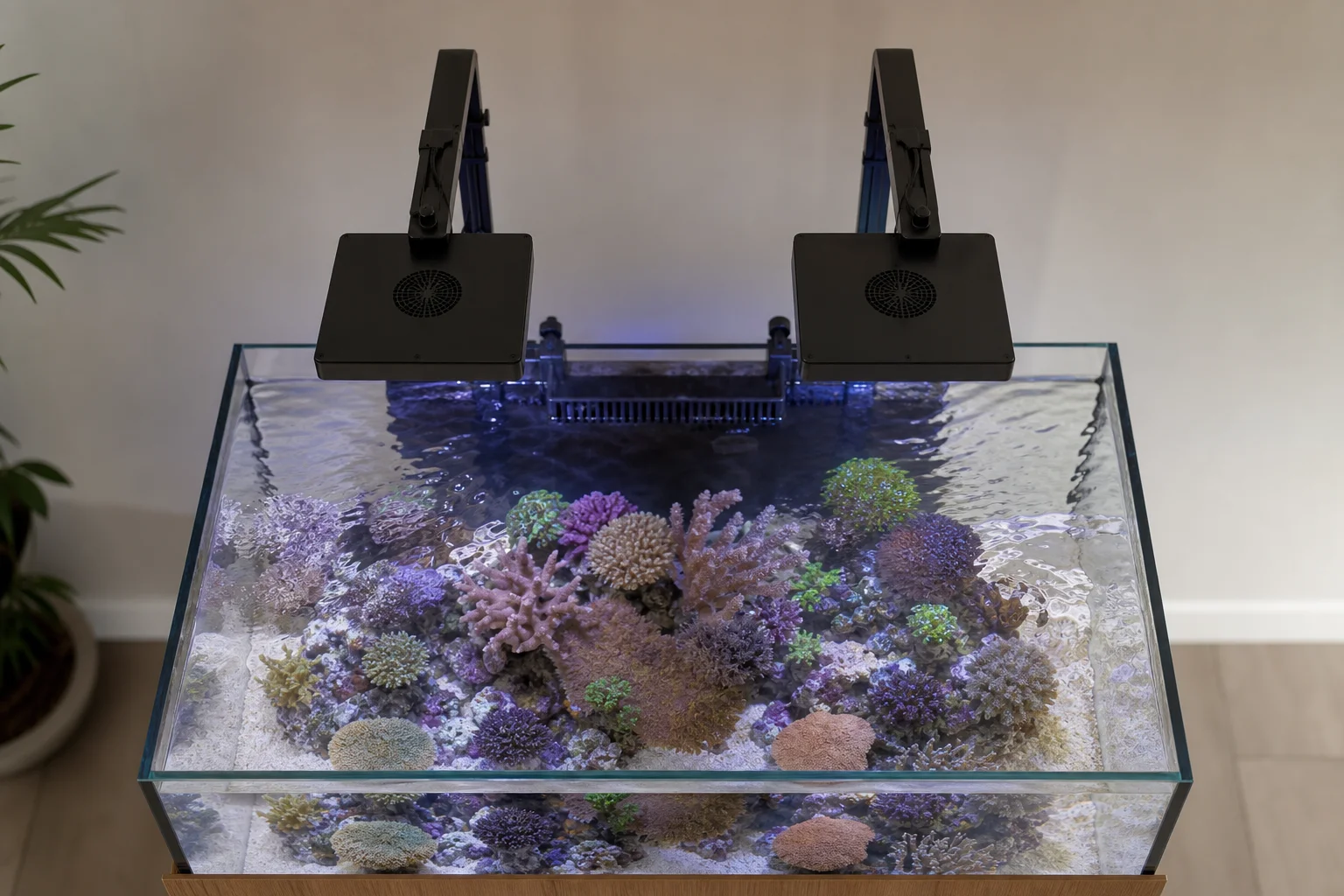 Overhead view of reef tank with two LED light fixtures mounted on arms