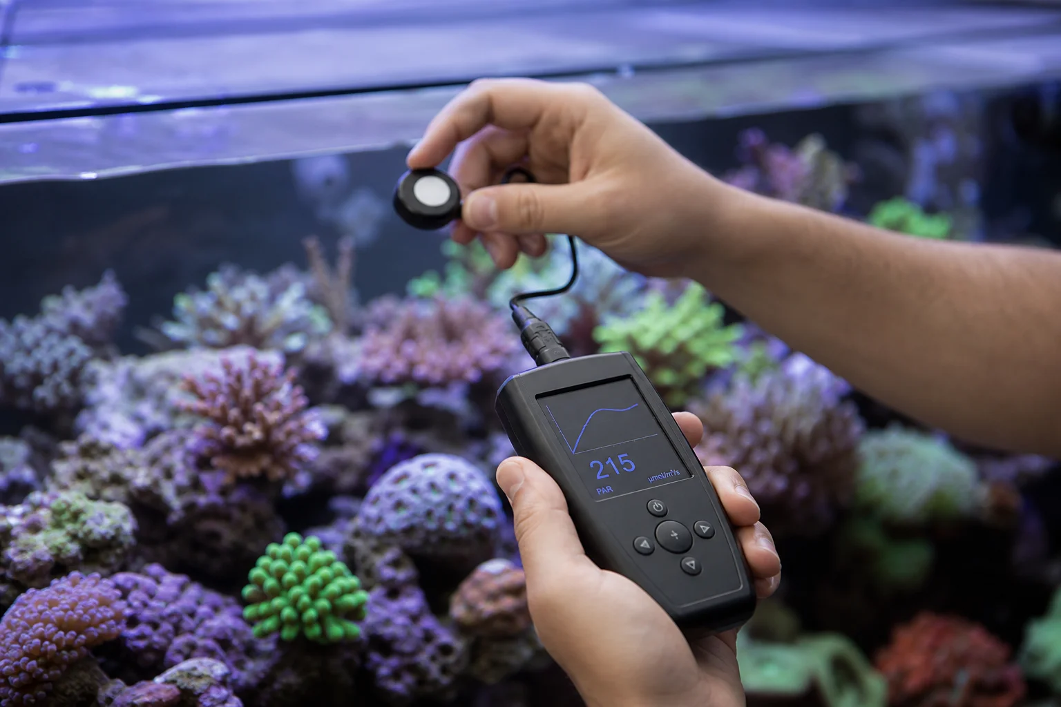 Aquarium PAR meter measuring light intensity over coral placement