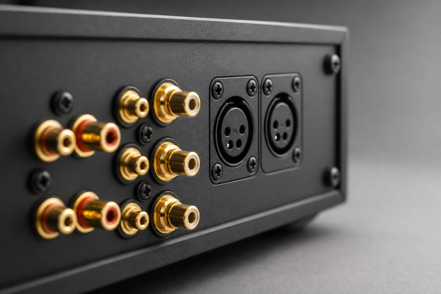 擴大機背板的立體聲 RCA 端子與平衡式 XLR 輸入特寫