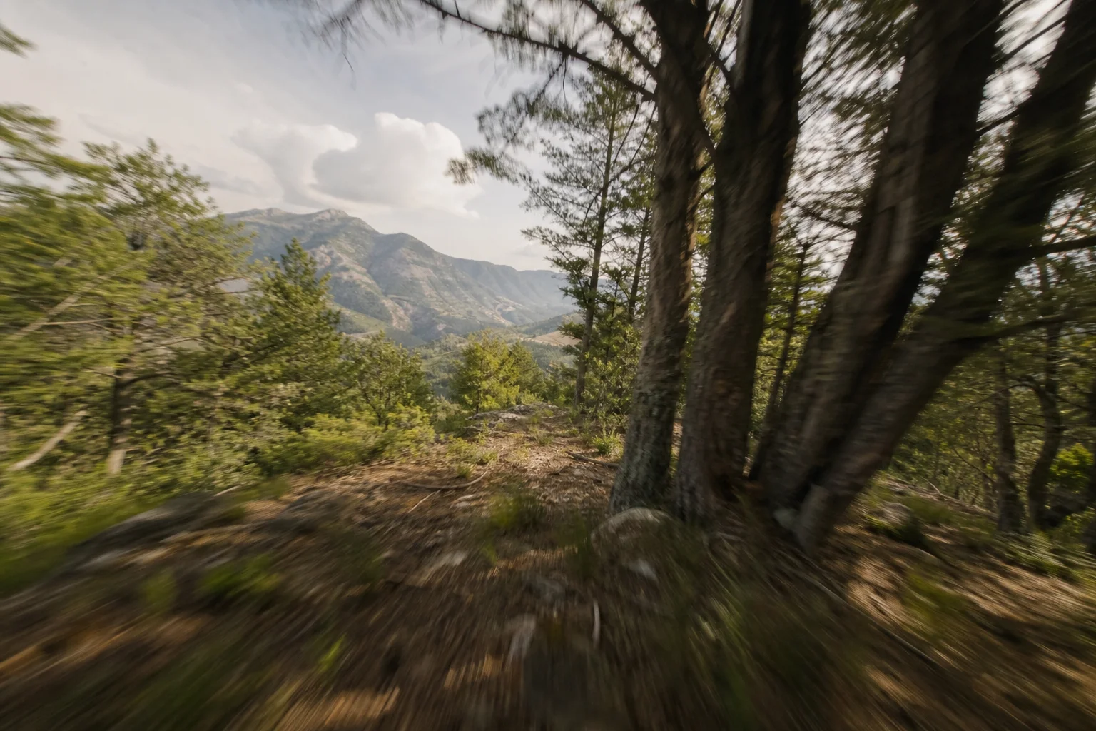 Drone FPV che vola all'aperto vicino agli alberi in un paesaggio naturale