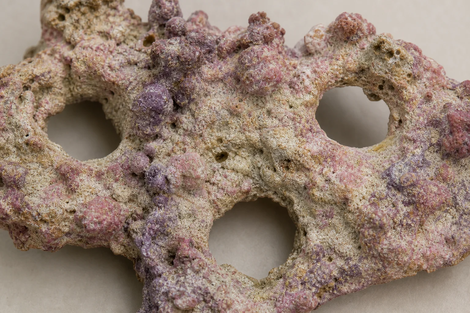 Close-up of textured arch rock showing peaks, mounds, and through-holes