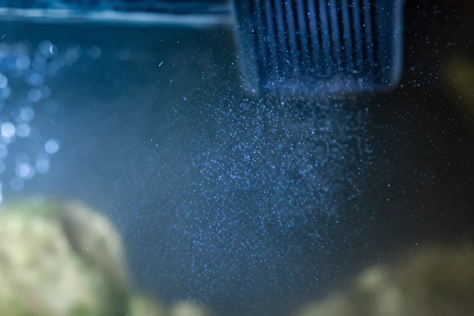 水族箱水體特寫，可見懸浮微粒與光線擴散效果