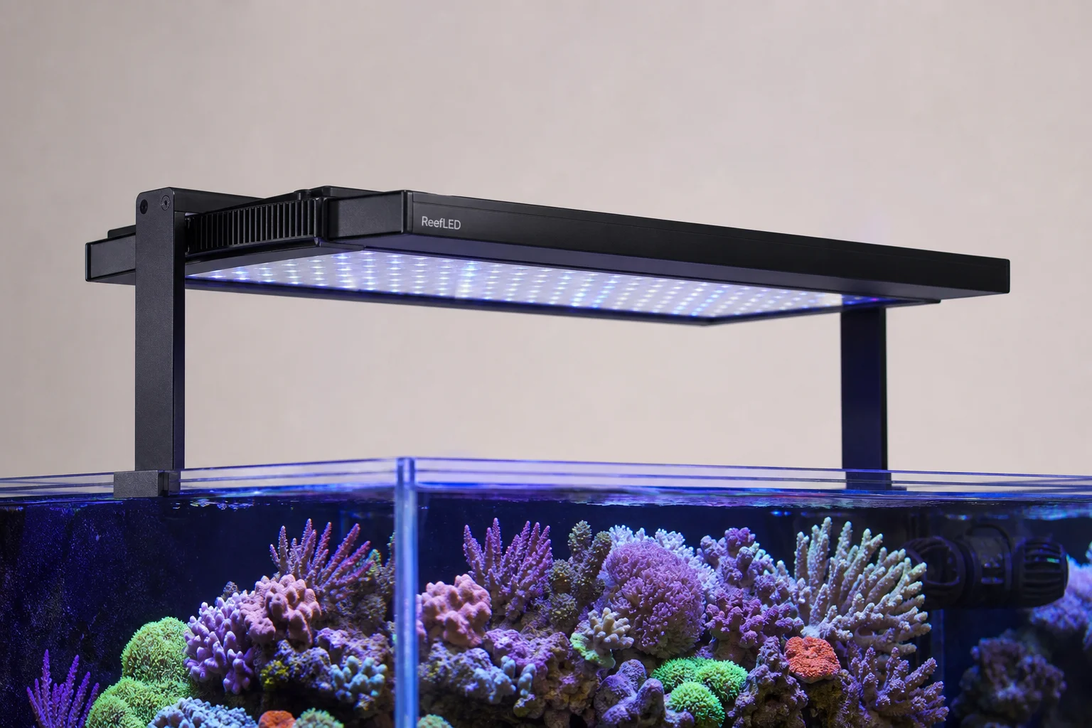 Fluval Reef 4.0 LED 燈具安裝在色彩繽紛、珊瑚茂盛的海水缸上方