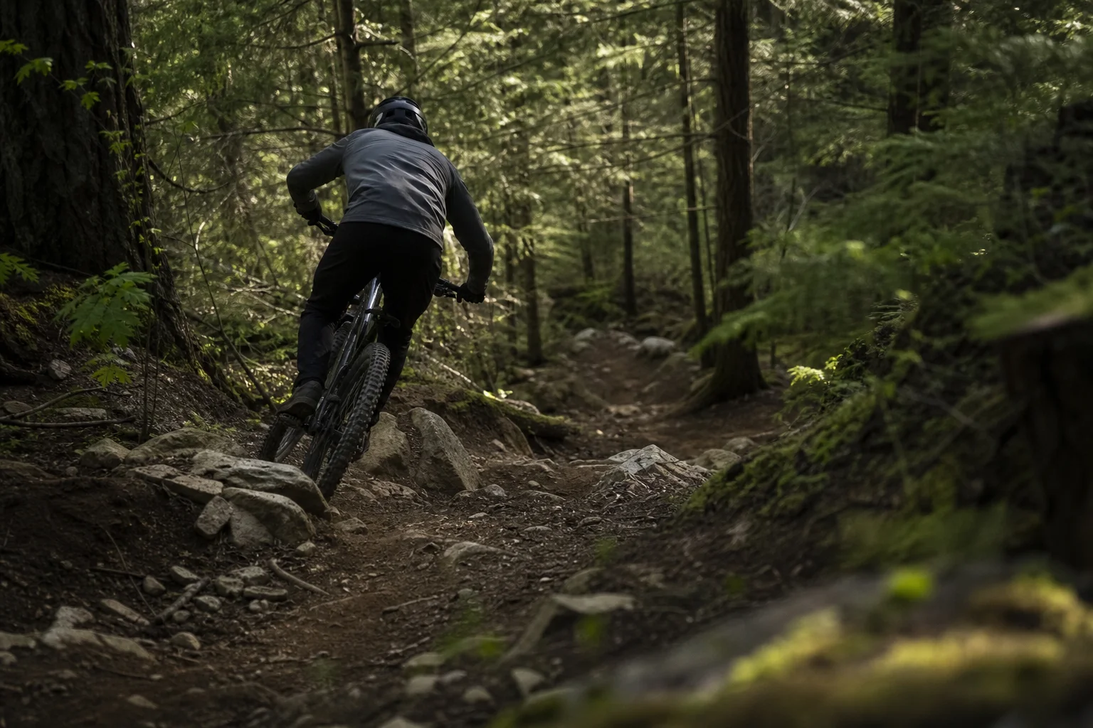 Mountain biker navigating forest trail with dappled sunlight