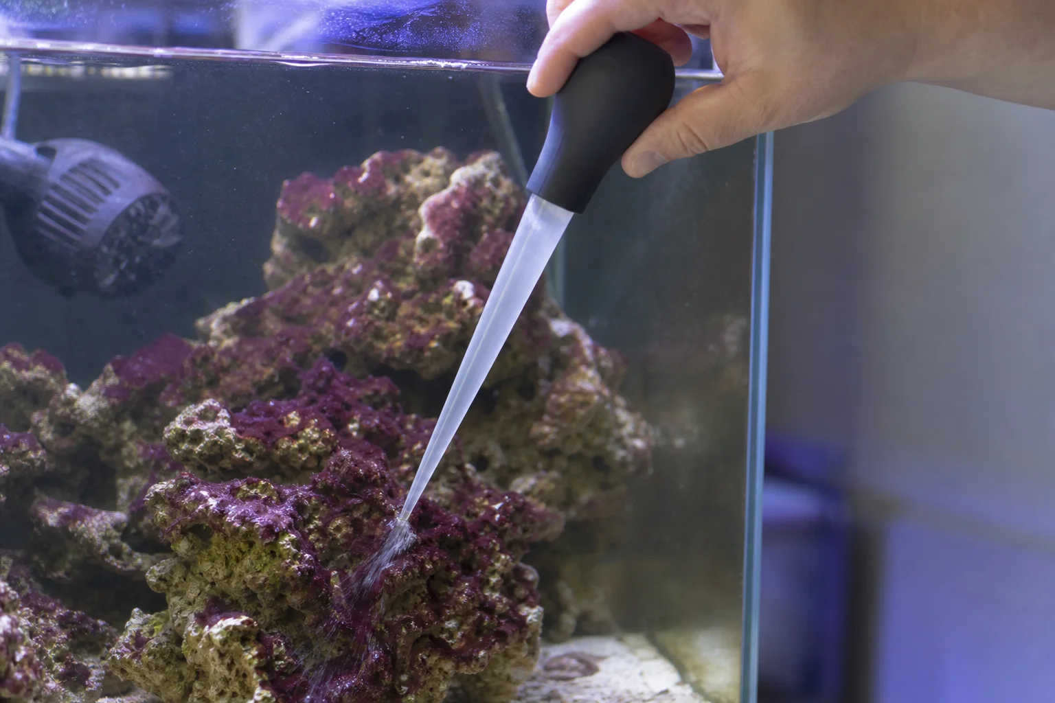 Aquarist using a turkey baster to manually remove cyano bacteria from tank