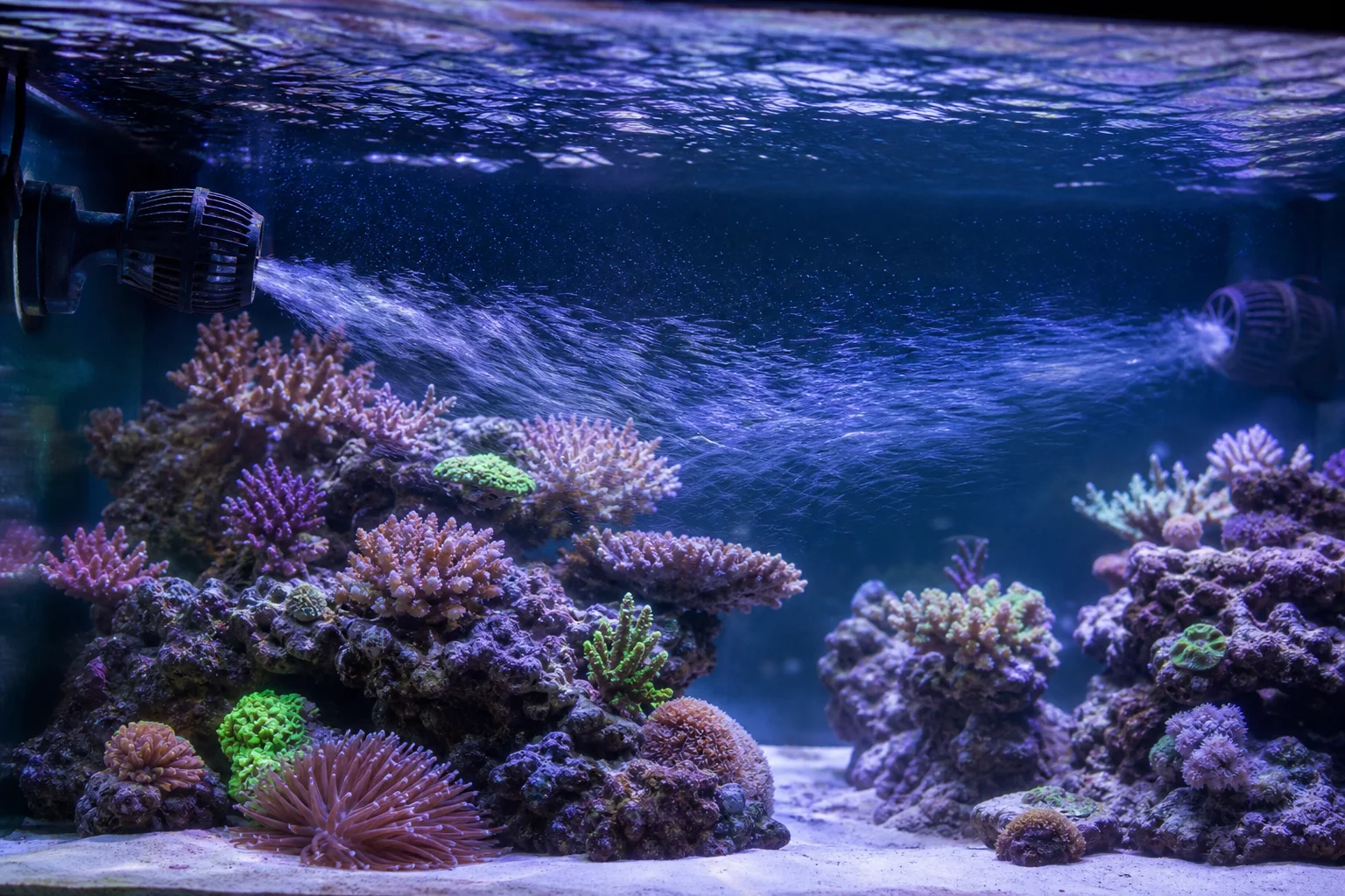 Reef tank with wave maker and powerhead creating water flow patterns