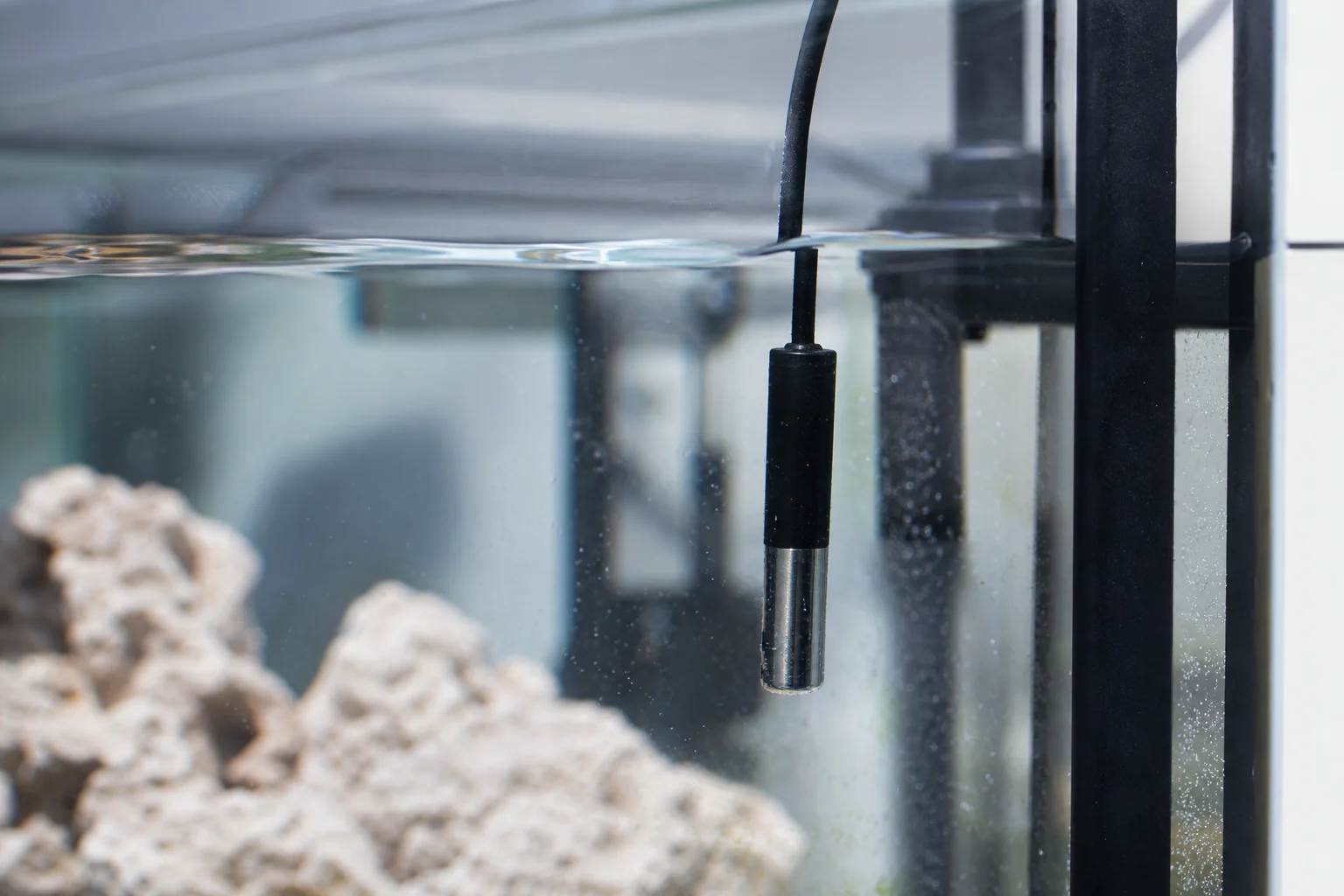 Close-up of aquarium sump with temperature probe submerged in water