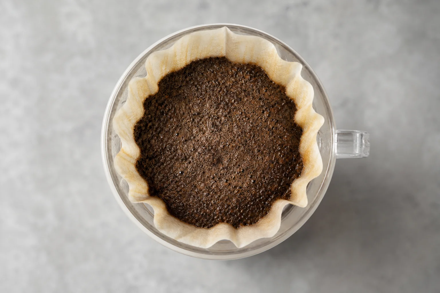 V60 濾杯中濕潤的咖啡粉,顯示顆粒分佈狀況