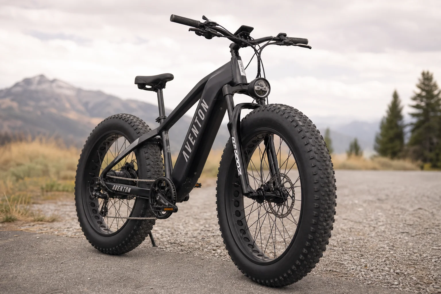 Long-tail cargo eBike with child seat and safety features