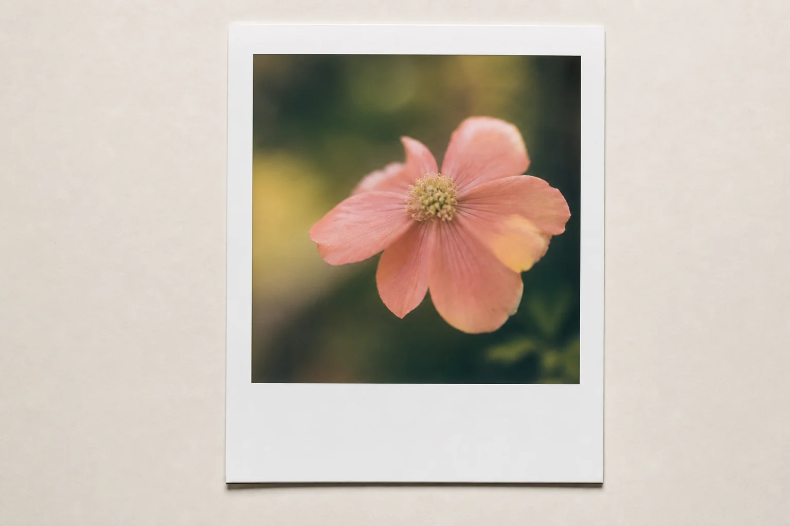 Instant film photograph showing shallow depth of field effect with subject in focus and soft blurred background