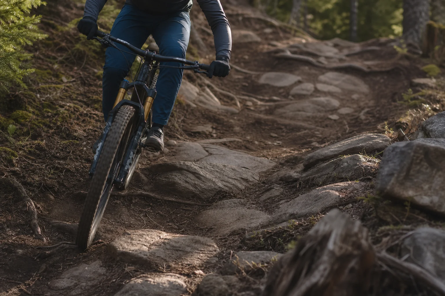 Ciclista de montaña descendiendo por un sendero técnico con rocas y raíces bajo la luz de la tarde