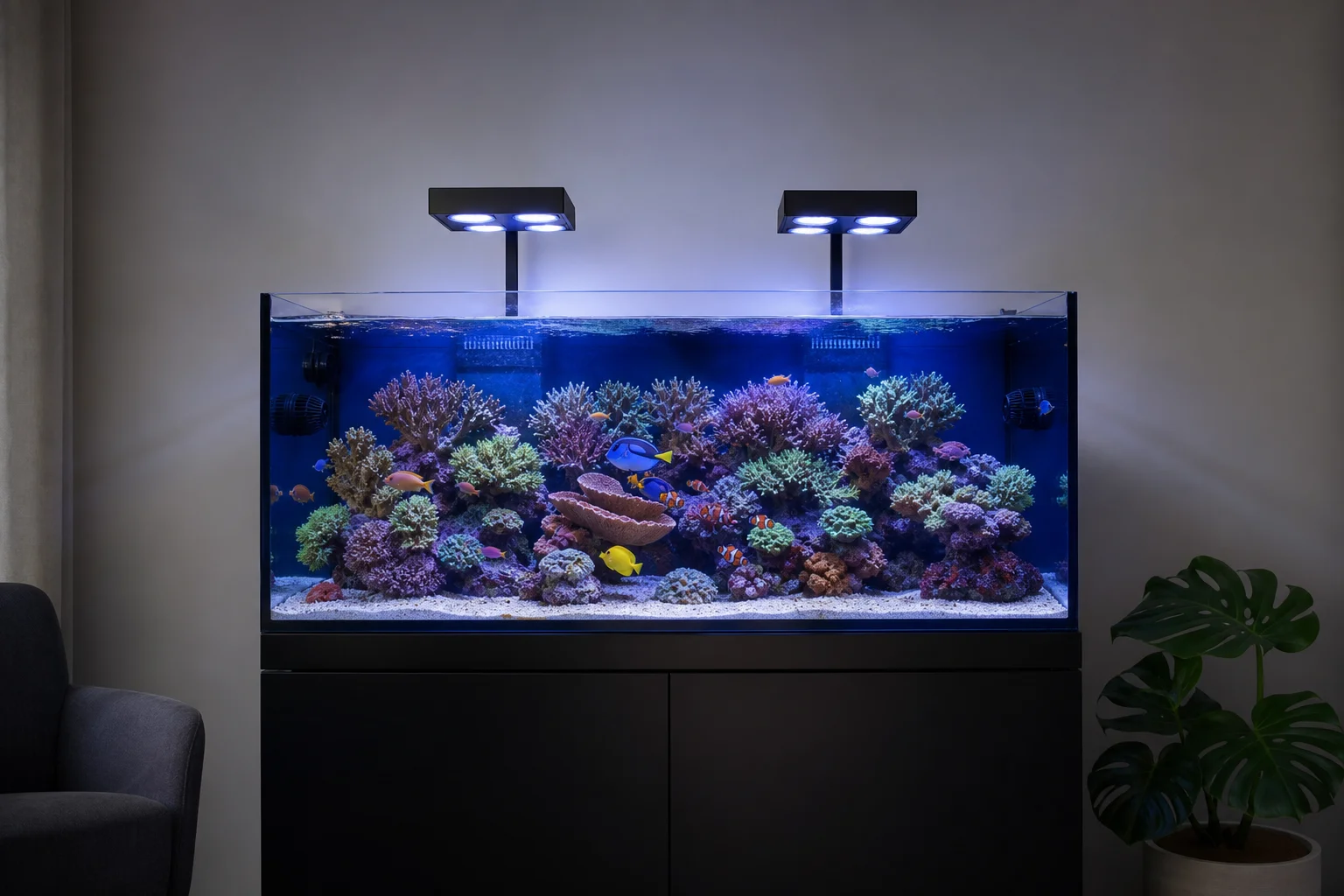 健康的珊瑚礁水族箱，內有珊瑚、魚類與清澈見底的水質